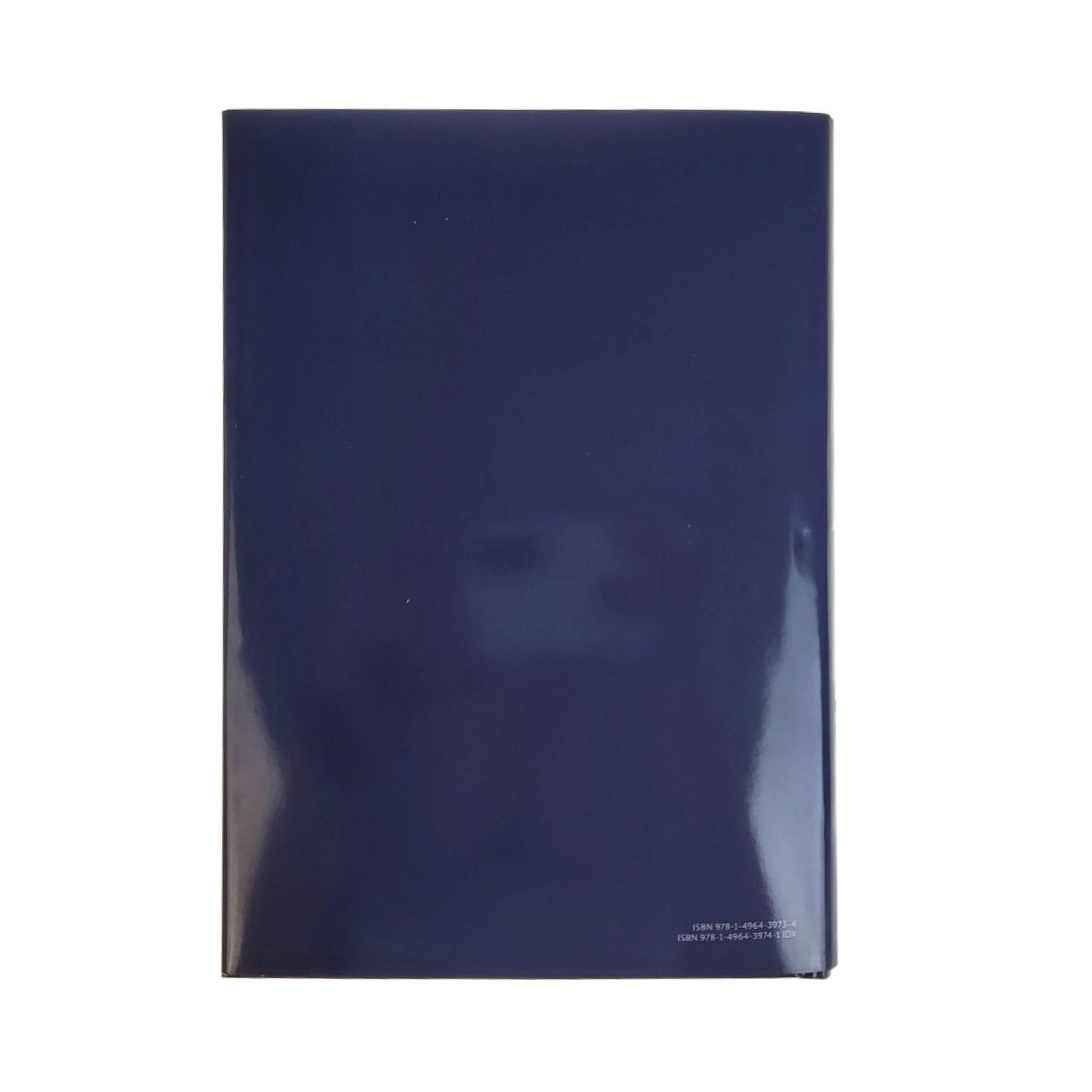 Product 001-0165 - View 5 001-0165 Product Image 5