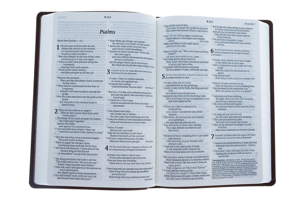 100-0002 Product Image 4