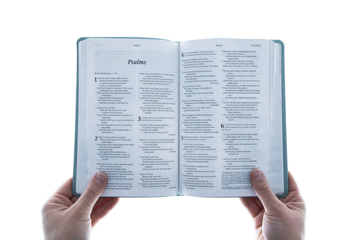 100-0010 Product Image 4