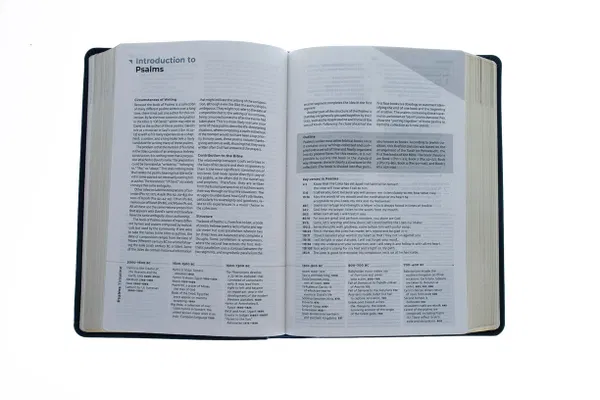100-0020 Product Image 3