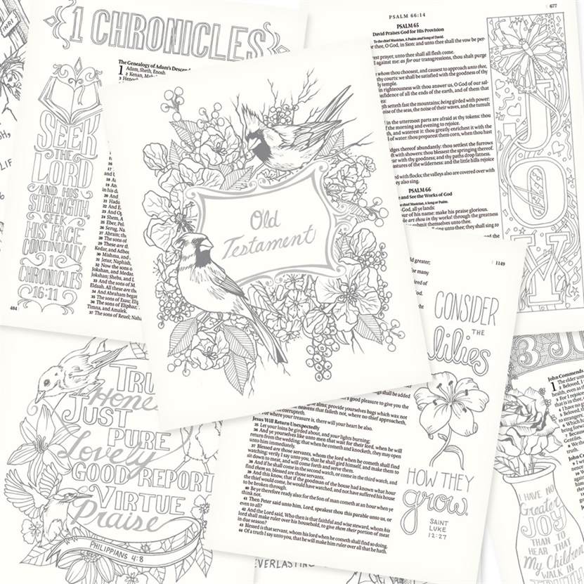 100-0028 Product Image 7