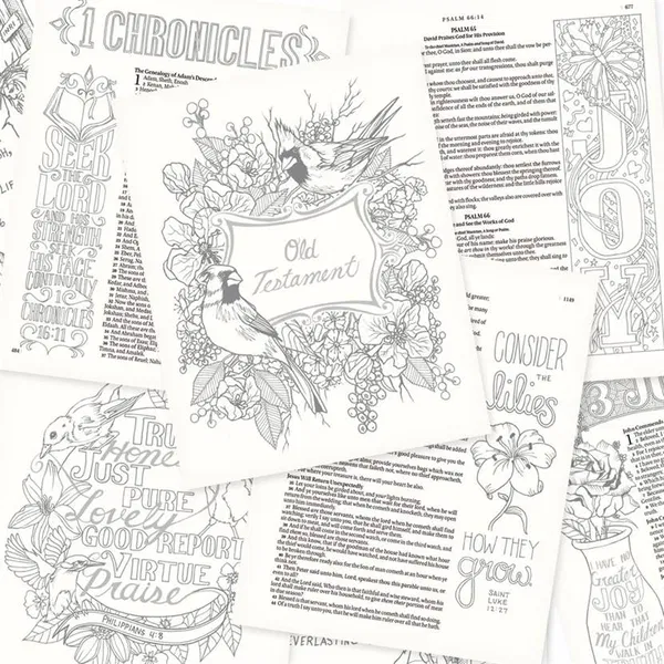 100-0028 Product Image 7