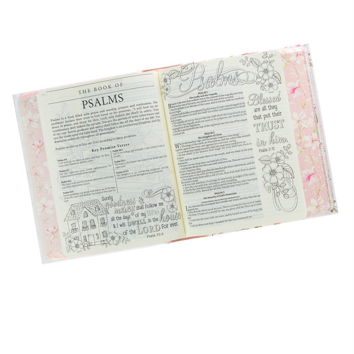 100-0029 Product Image 6
