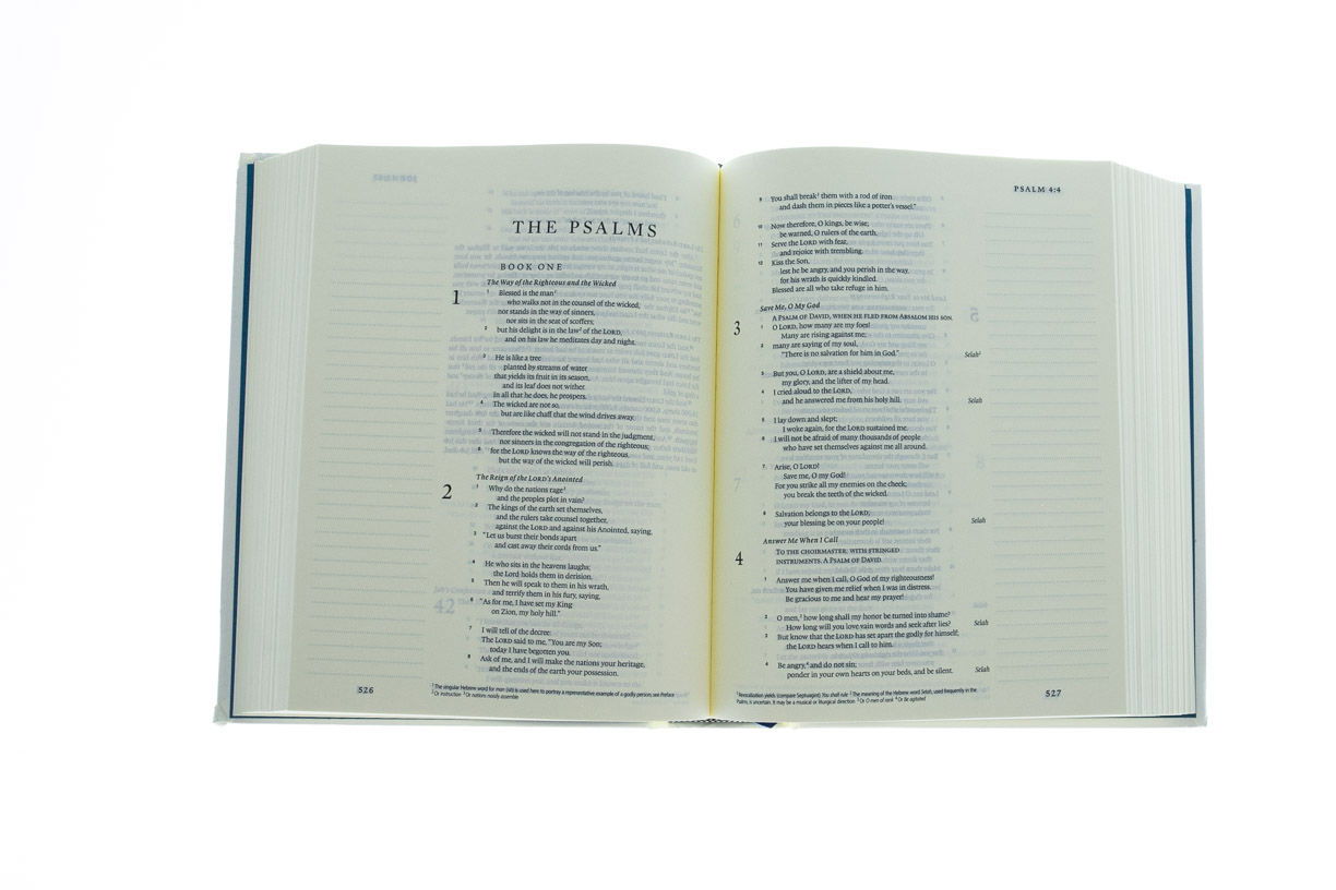 100-0038 Product Image 2