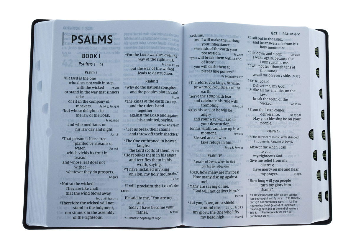 Product 100-0044 - View 3 100-0044 Product Image 3