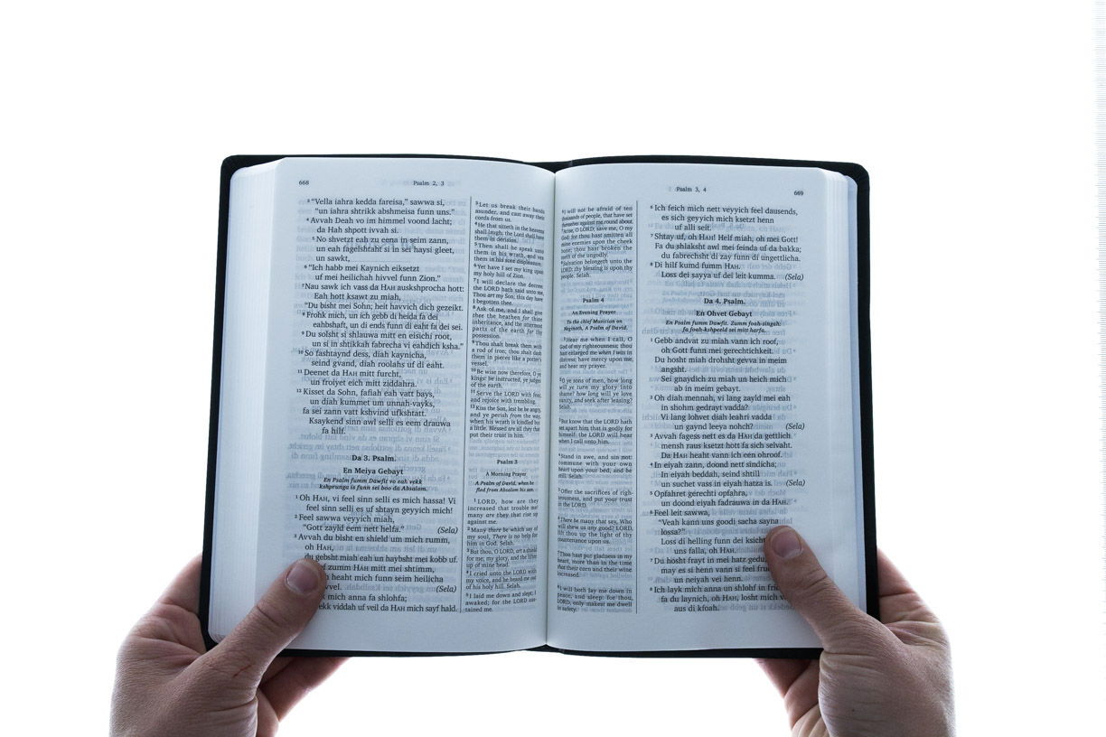 Product 100-0070 - View 4 100-0070 Product Image 4