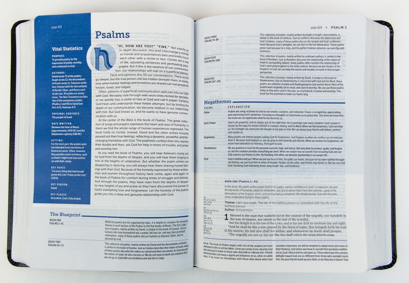 Product 100-0085 - View 2 100-0085 Product Image 2
