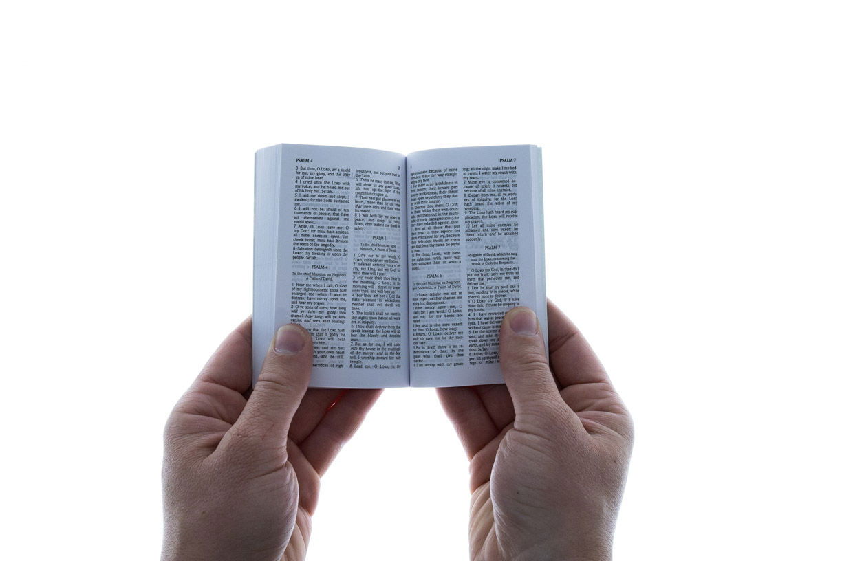 Product 100-0105 - View 4 100-0105 Product Image 4