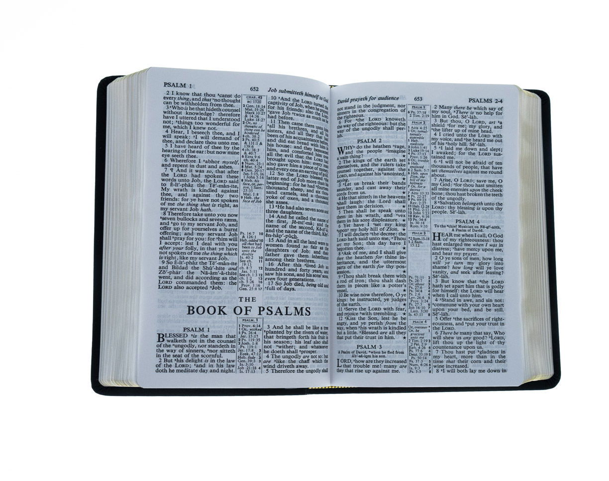 100-0139 Product Image 3