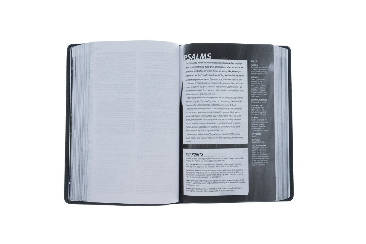 Product 100-0178 - View 4 100-0178 Product Image 4