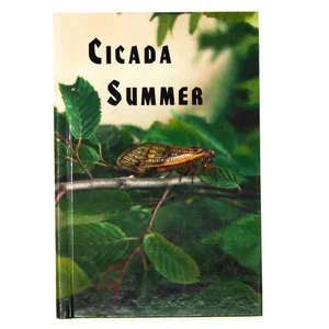 Cicada Summer