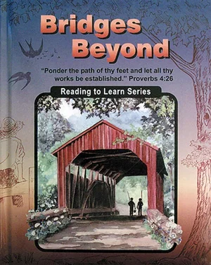 Bridges Beyond