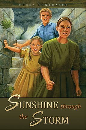 Sunshine Through the Storm -Discontined