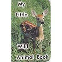 My Little Wild Animal Book