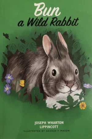 Bun, a Wild Rabbit