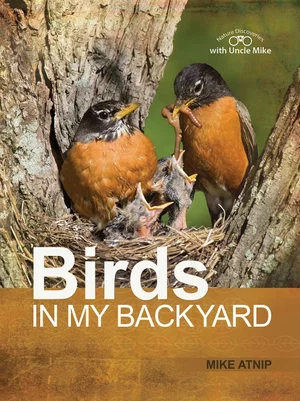 Birds in My Backyard