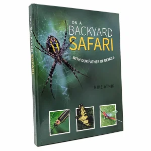 Backyard Safari