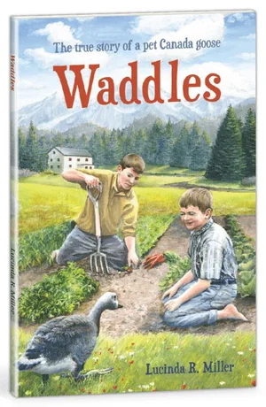 Waddles