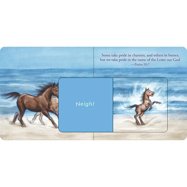 102-0900 Product Image 5