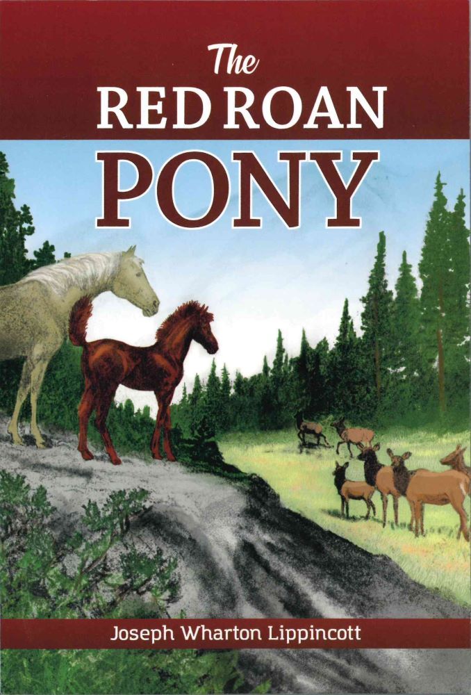 Product 102-1214 - View 1 102-1214 Product Image 1