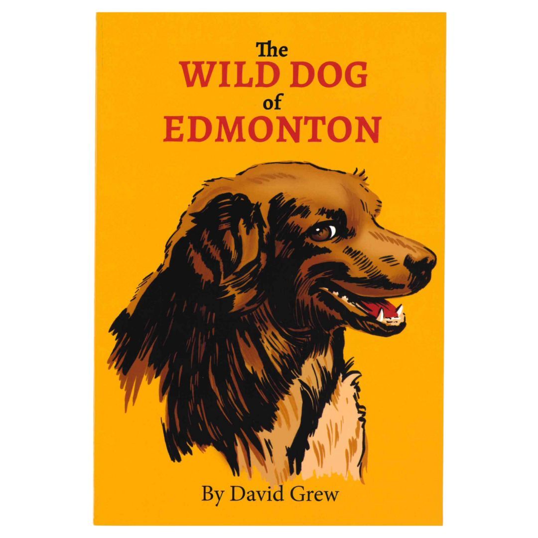 102-1273 Product Image 1