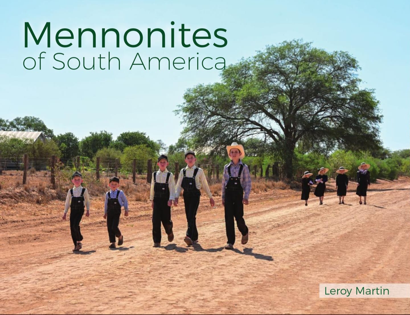 Image of Mennonites of South America