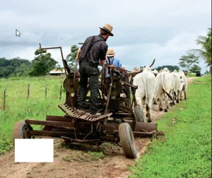 Mennonites of Central America