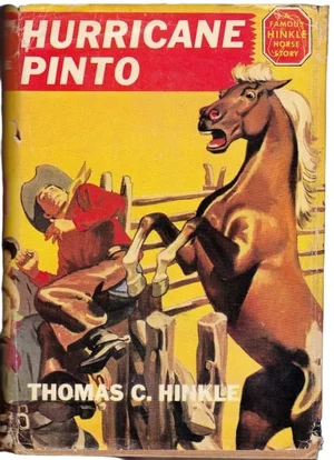 Hurricane Pinto: The Story of an Outlaw Horse