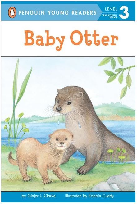 Baby Otter (Penguin young reader Reader: Level 3)