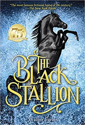 The Black Stallion #1
