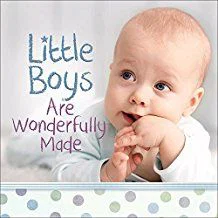 Little Boys Are Wonderfully Made