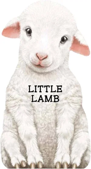 Little Lamb