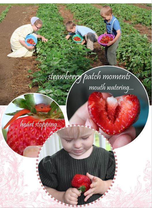 102-3086 Product Image 2