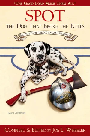 Spot The Dog That Broke the Rules: and Other Great Heroic Animal Stories