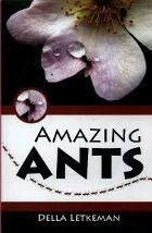 Amazing Ants