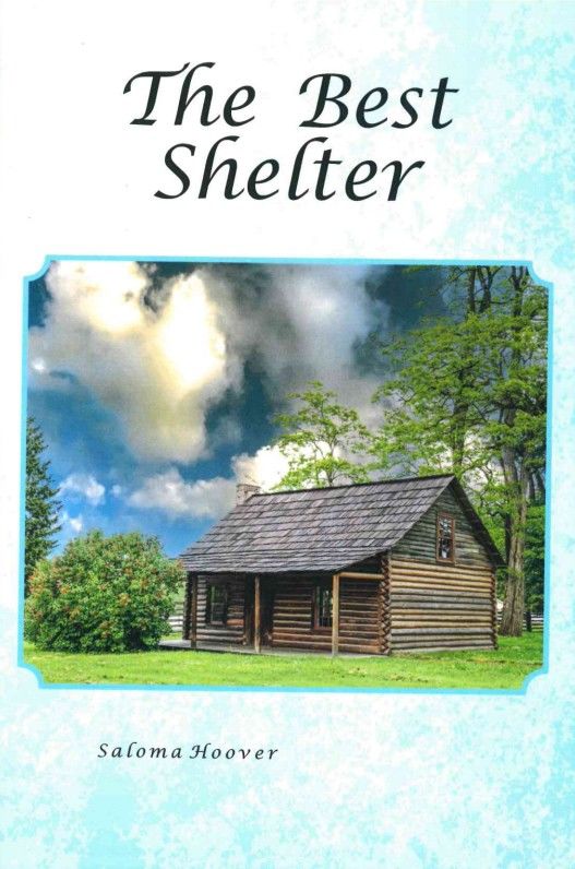 Image of The Best Shelter