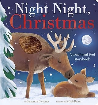 Image of Night Night, Christmas: A Touch and Feel Storybook
