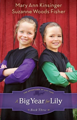 Big Year for Lily -Adventures of Lily Lapp #3