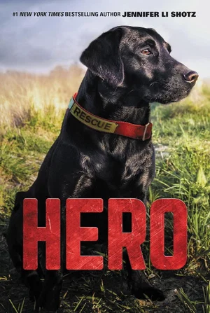 Hero #1