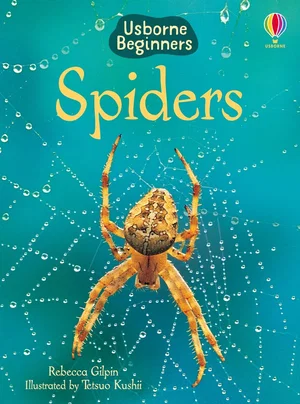 Spiders (Usborne Beginners)