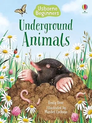 Underground Animals (Usborne Beginners)