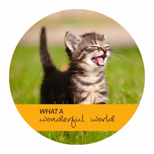 What a Wonderful World Picture Book