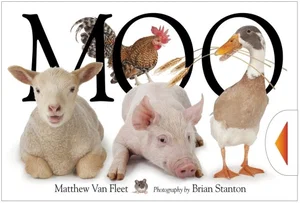 Moo -Board Book