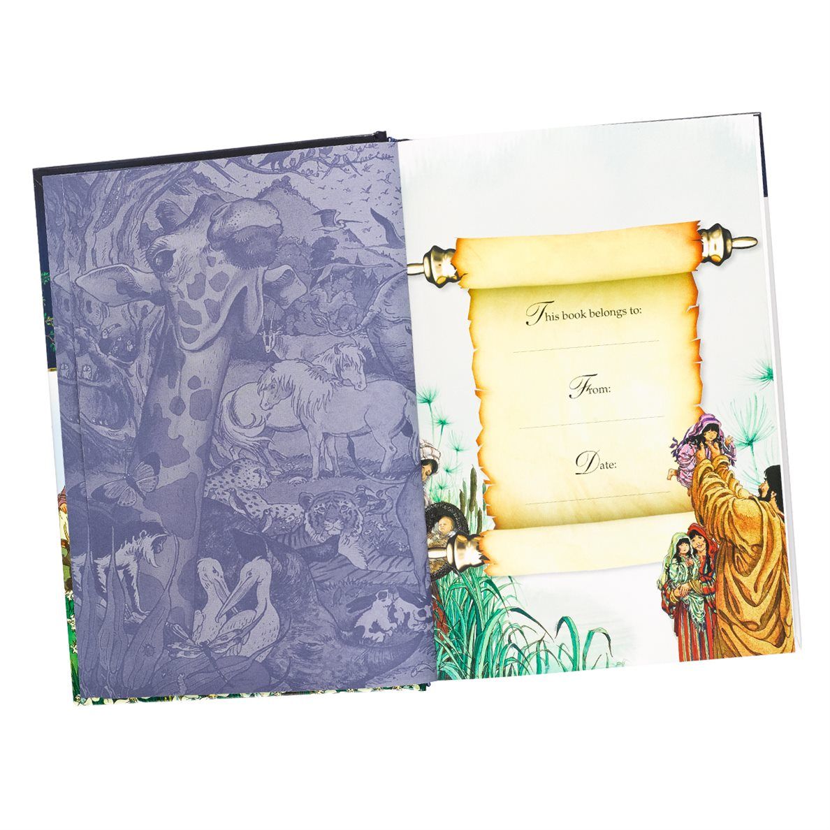 Product 102-5182 - View 3 102-5182 Product Image 3