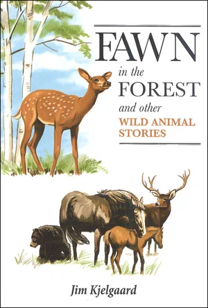 Fawn in the Forest