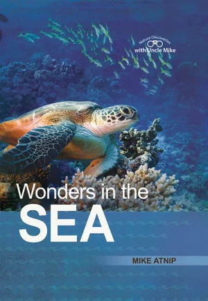 Wonders in the Sea
