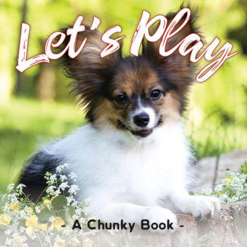 Let's Play - Chunky Board Book