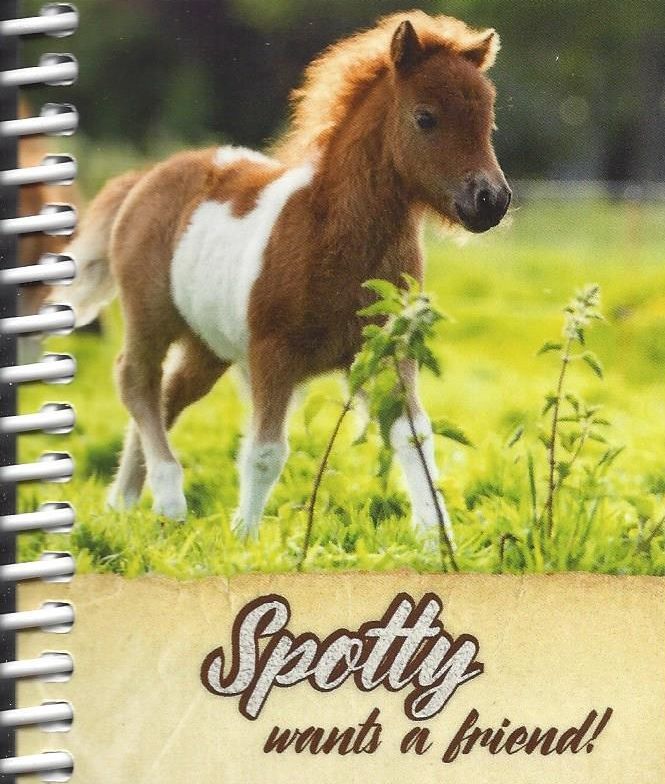 102-5895 Product Image 1