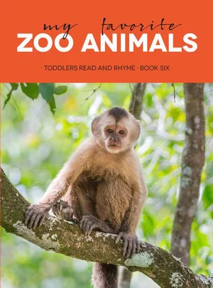 My Favourite Zoo Animals Board Book