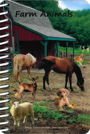 Farm Animals